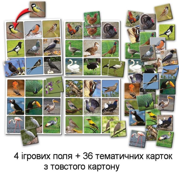 Детская настольная игра супер ЛОТО "Птицы" 81930 карточки птиц — 36 шт