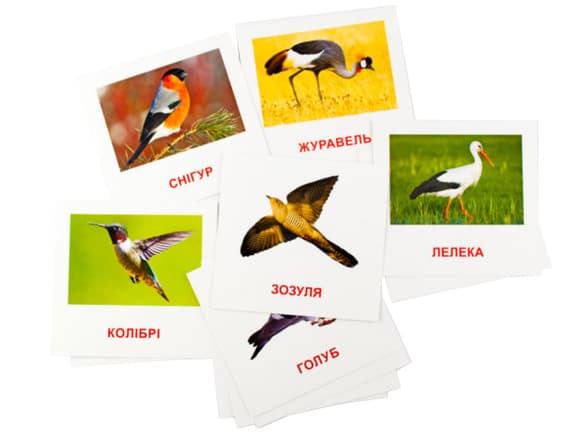 Розвиваючі картки "Птахи" (110х110 мм) 72753 укр. /англ. мовою