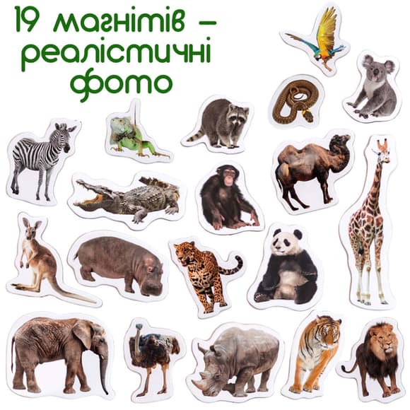 Набор магнитов "Зоо" 19шт ML4031-02 EN