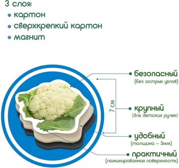 Набор магни тов Magdum "Овощи" ML4031-12 EN