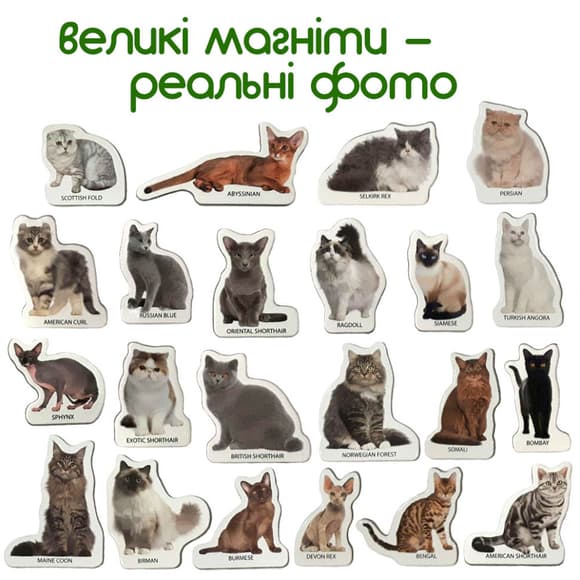 Набор магнитов Magdum "Породы кошек" ML4031-13 EN