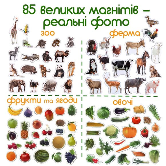 Набор магнитов Magdum "Детский мир" ML 4031-61 EN