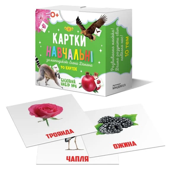 Картки навчальні Глена Дом ана №6 Майстер MKD0013 укр