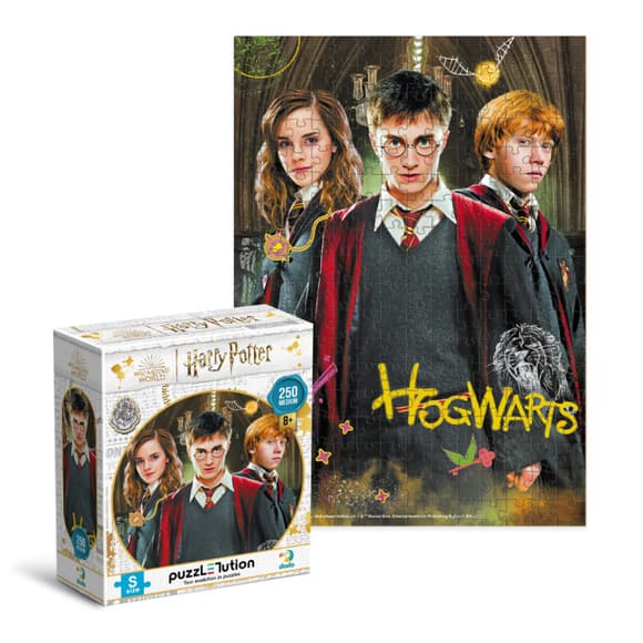 Пазл классический "Harry Potter. Гарри и друзья" 200498, 250 элементов