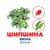 Набор развивающих карточек Гений с пеленок Деревья и кустарники 10107196, 17 карточек