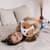 Подушка декоративная собака Корги Нейт FWPDOGCORGI23BG50