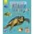 Энциклопедия дошкольника Океаны и моря 614055 для самых маленьких