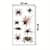 Набор детских временных татуировок "Halloween black" tatto-halloween-black-set-30