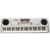 Детское пианино-синтезатор BF-630B2 USB, MP3 61 клавиша, микрофон