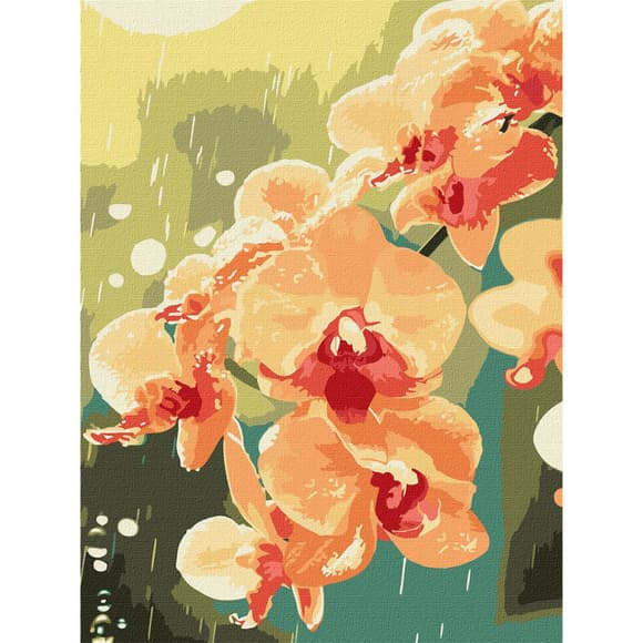 Картина по номерам "Орхидея в каплях" KHO3325, 30x40 см