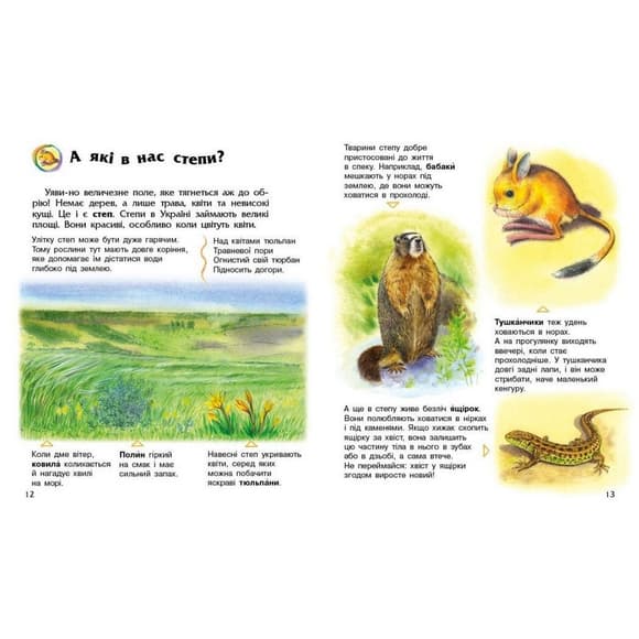 Детская книжка "Энциклопедия дошкольника. Украина" 614044