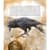 Детская книжка "Как понять животных" 452155 серия "Открывай"