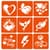 Набор хны с трафаретами для био-тату №9 henna-set-09, 9 трафаретов