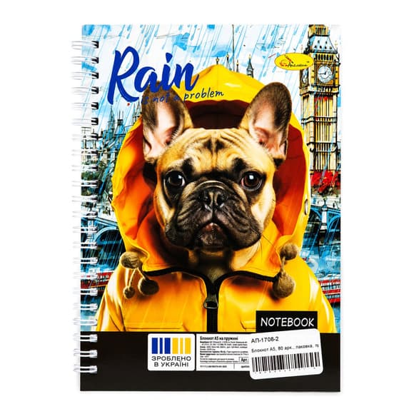 Блокнот для записей Rain is not a problem АП-1708-2 А5, 80 листов, пружина сбоку