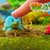 Растущая игрушка в яйце - Крокодилы и черепахи