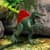 Интерактивная игрушка Dinos Unleashed серии Realistic S2 – Спинозавр