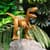 Интерактивная игрушка Dinos Unleashed серии Realistic S2 – Велоцираптор
