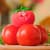Стретч-игрушка в виде овоща – Borsch
