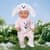 Набор одежды для куклы Baby Born - Милый зайчик