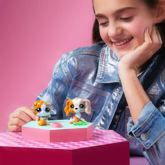 Ігровий набір Littlest Pet Shop - Друзі-двійники