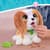 Интерактивная игрушка Furreal серии Poop-A-Lots – Кинг Чарльз Спаниель