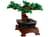 Конструктор LEGO Botanicals Дерево бонсай 878 деталей (10281)