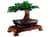 Конструктор LEGO Botanicals Дерево бонсай 878 деталей (10281)