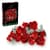 Конструктор LEGO Botanicals Букет троянд 822 деталі (10328)