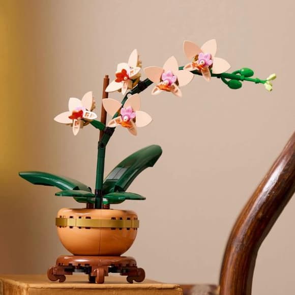 Конструктор LEGO Botanicals Міні орхідея 274 деталі (10343)