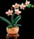 Конструктор LEGO Botanicals Міні орхідея 274 деталі (10343)