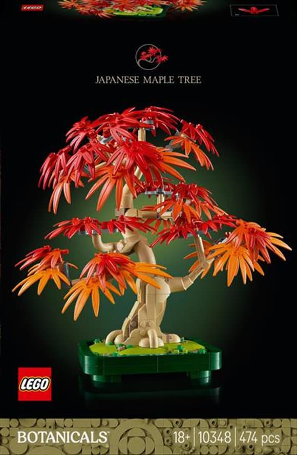 Конструктор LEGO Botanicals Бонсай з японського червоного клена 474 деталі (10348)