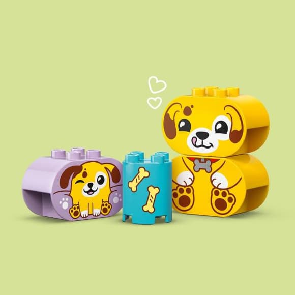 Конструктор LEGO DUPLO My First Сортувальник фігур будинок для цуценят 17 деталей (10441)