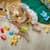 Конструктор LEGO DUPLO My First Чарівні творчі домашні улюбленці 3 в 1 24 Деталі ( 10477 )