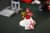 Конструктор LEGO® Icons Ferrari F2004 та Michael Schumacher 735 деталей (11375)