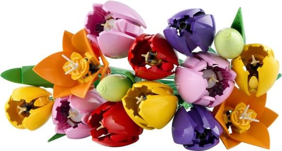 Конструктор LEGO Botanicals Букет тюльпанів 576 Деталей (11501)