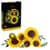 Конструктор LEGO Botanicals Букет соняшників 686 Деталей  (11502)