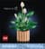Конструктор LEGO Botanicals Спатифілум 474 Деталей (11504)