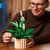 Конструктор LEGO Botanicals Спатифілум 474 Деталей (11504)