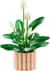 Конструктор LEGO Botanicals Спатифілум 474 Деталей (11504)