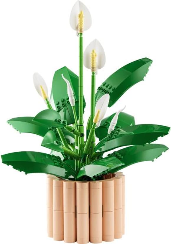 Конструктор LEGO Botanicals Спатифілум 474 Деталей (11504)