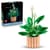 Конструктор LEGO Botanicals Спатифілум 474 Деталей (11504)