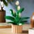 Конструктор LEGO Botanicals Спатифілум 474 Деталей (11504)