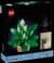 Конструктор LEGO Botanicals Спатифілум 474 Деталей (11504)