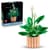 Конструктор LEGO Botanicals Спатифілум 474 Деталей (11504)