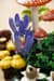 Конструктор LEGO® Botanicals Лісові гриби Набір для конструювання, 806 детал1 (11505)