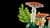 Конструктор LEGO® Botanicals Лісові гриби Набір для конструювання, 806 детал1 (11505)