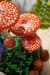 Конструктор LEGO® Botanicals Лісові гриби Набір для конструювання, 806 детал1 (11505)