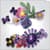 Конструктор LEGO® Botanicals та LEGO® Editions Букет квітів Олівії Родріґо (11507)