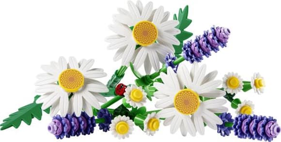 Конструктор LEGO Botanicals Ромашки 133 Деталі (11508)