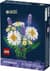 Конструктор LEGO Botanicals Ромашки 133 Деталі (11508)